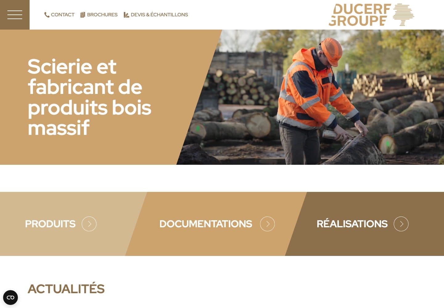 Capture d'écran du site Groupe Ducerf